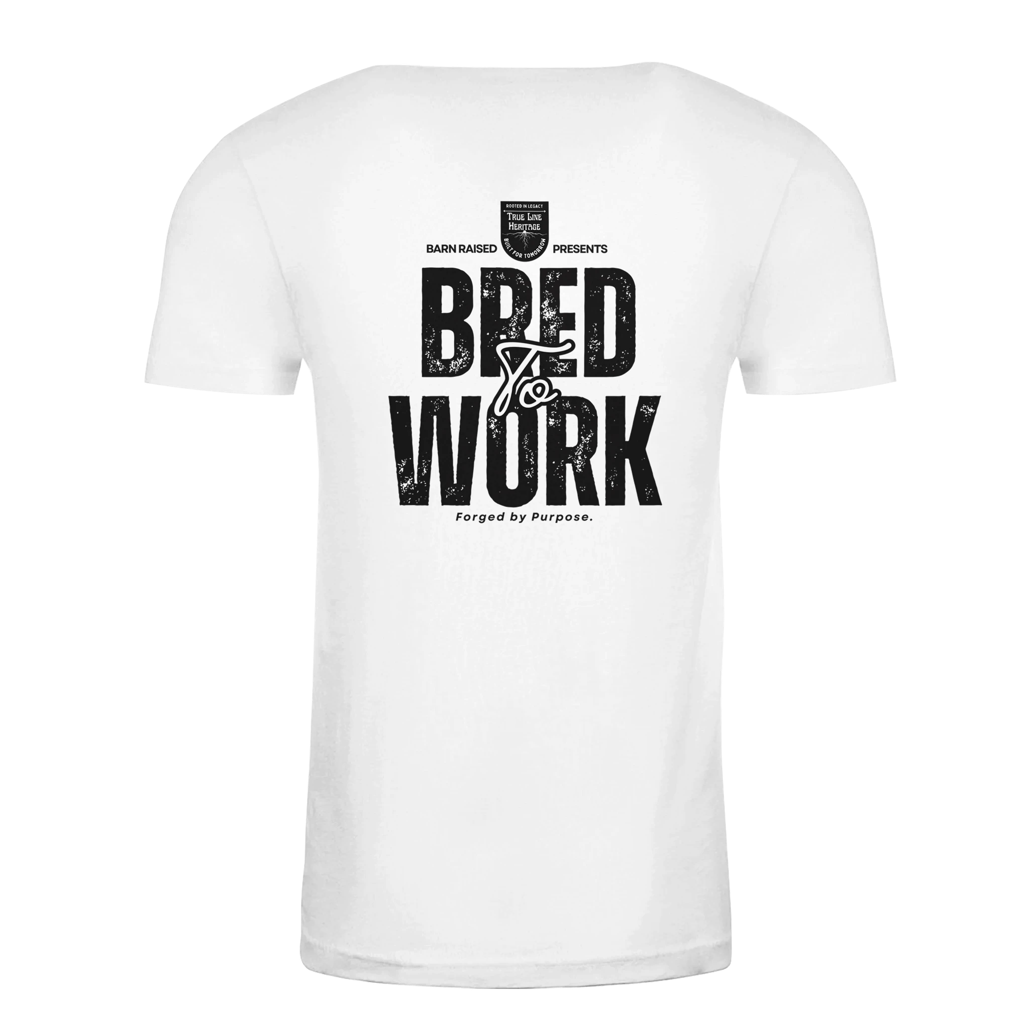 1d50ed8b-f32f-4e3b-b218-1636c30eac88