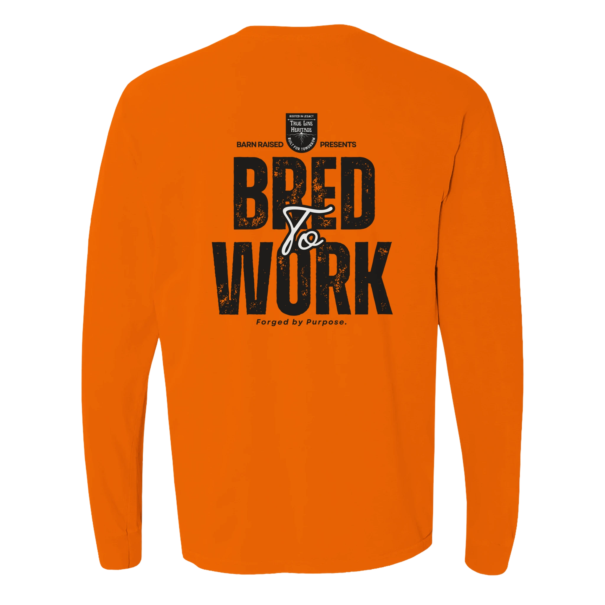 84487819-2533-482b-bdeb-1c5378fc19e7